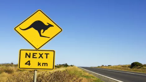Synnex secures new Aussie distie deal