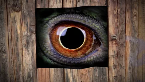 Internet Party slams the spy who doesn't love Kiwis...