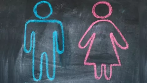 Auckland Council drops WiFI gender question following backlash