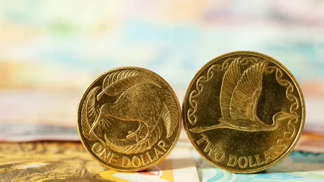 Strong sales across all categories see Noel Leeming revenue climb